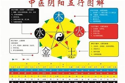 若五行|若字的五行属性